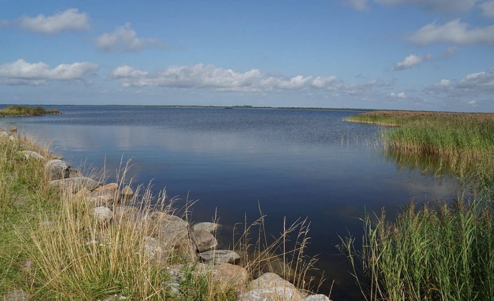 Matsalu National Park , Lääne County, Estonia